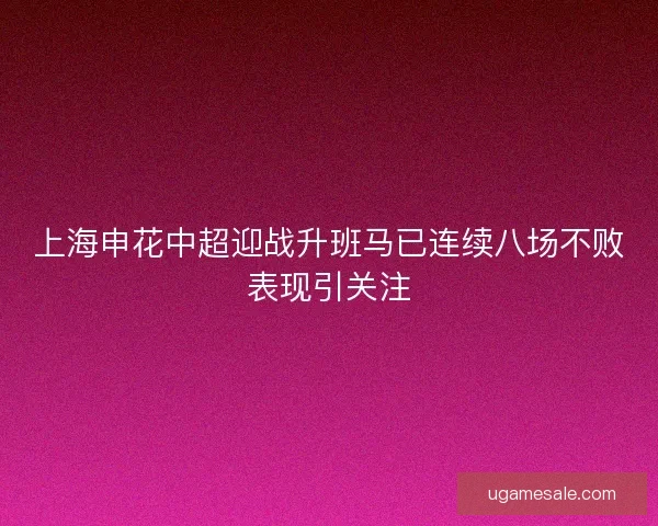 上海申花中超迎战升班马已连续八场不败表现引关注